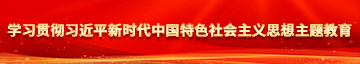 日逼播放器学习贯彻习近平新时代中国特色社会主义思想主题教育